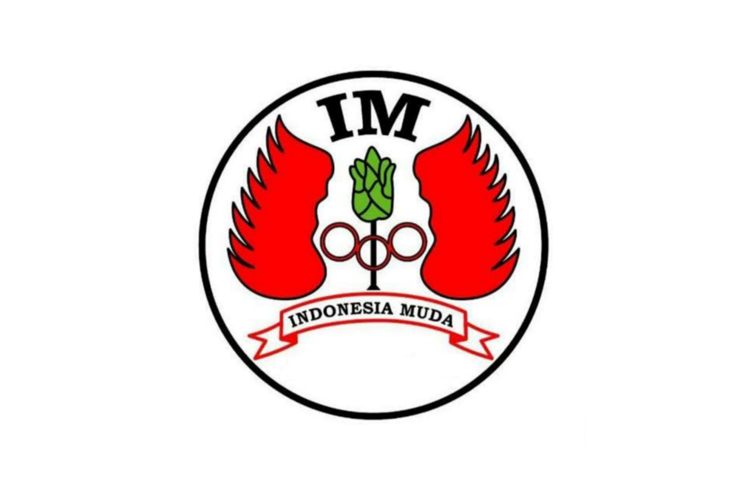 INDONESIA MUDA