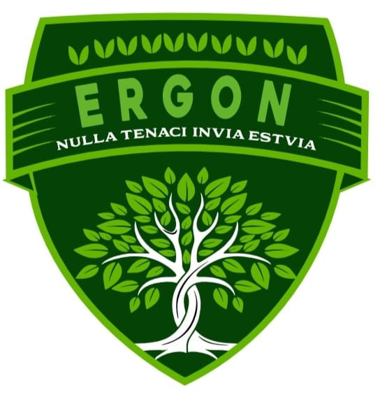 ERGON FUTSAL