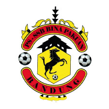 Team Logo